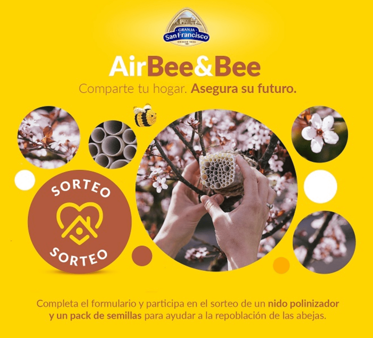 Air Bee&Bee