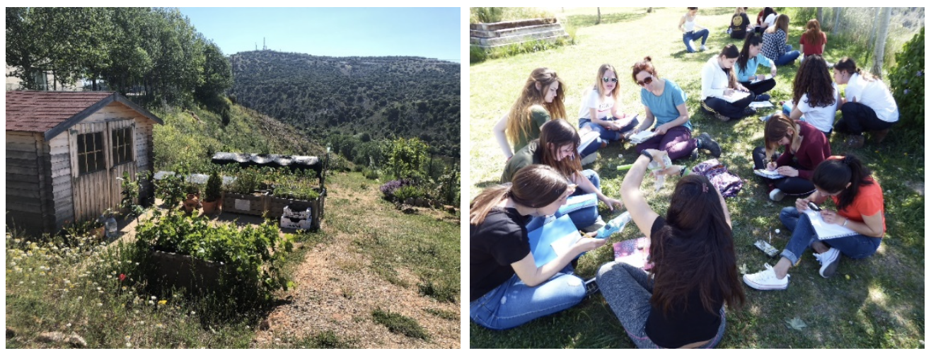 Huertos y alumnos dibujando